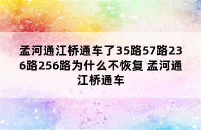 孟河通江桥通车了35路57路236路256路为什么不恢复 孟河通江桥通车